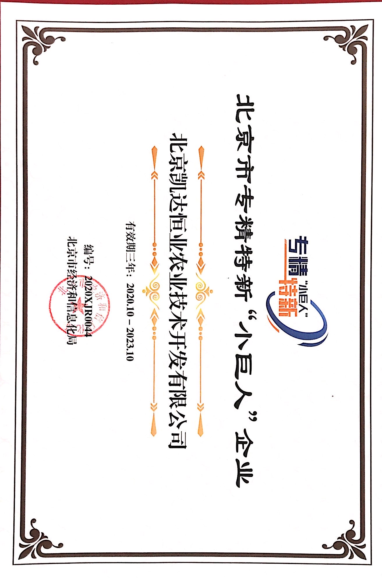 专精特新小巨人企业